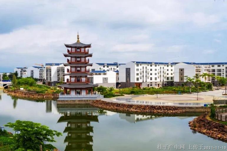 桂平市鄉(xiāng)村振興工作扎實(shí)推進(jìn)