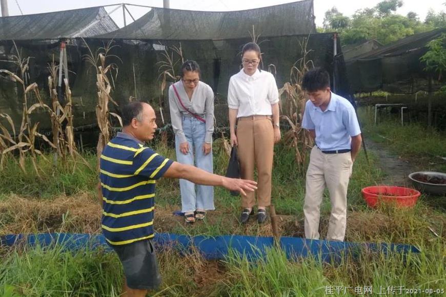 桂平市江口鎮(zhèn): 探索稻蝦養(yǎng)殖新模式 助力群眾增收致富