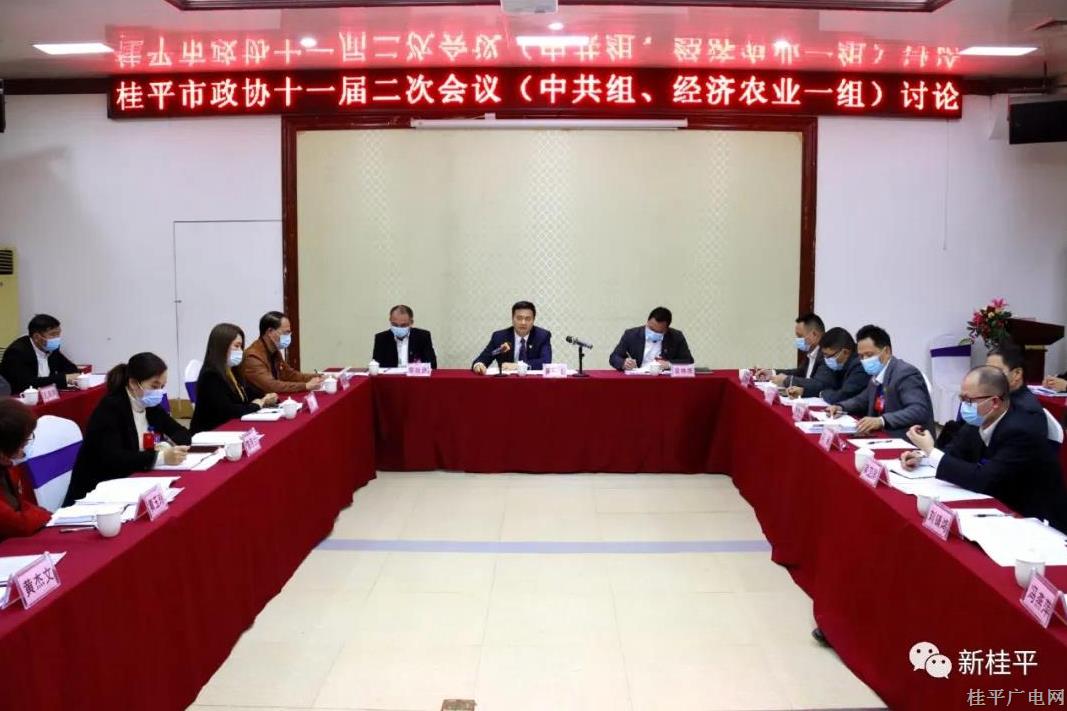 【聚焦兩會(huì)】黃德佳參加桂平市政協(xié)十一屆二次會(huì)議聯(lián)組討論