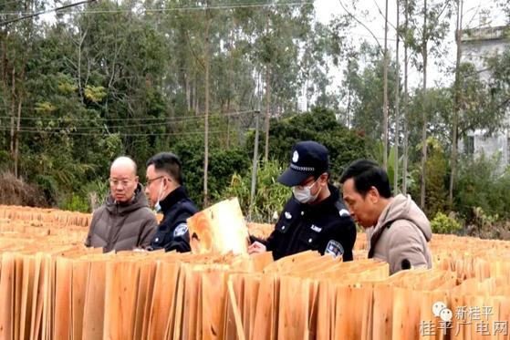 桂平市自然資源局、市公安局森林警察大隊聯(lián)合開展松木及其制品檢疫檢查專項行動