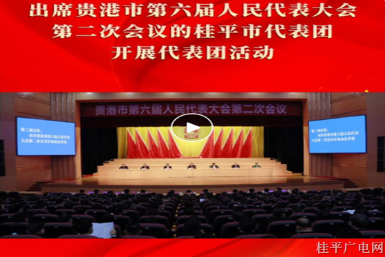 桂平市代表團開展代表團活動