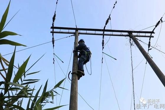 桂平：凝心聚力“電”亮鄉(xiāng)村振興路