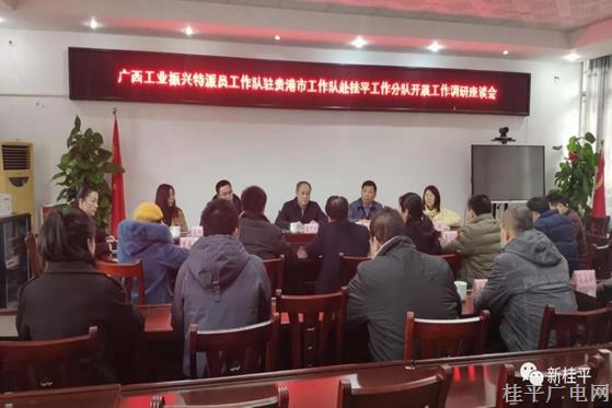 廣西工業(yè)振興特派員工作隊駐貴港市工作隊梁藝光一行蒞臨我市指導工作