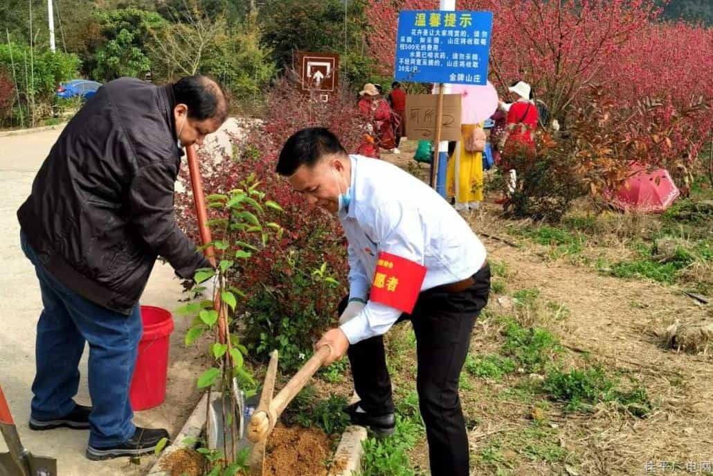 植樹活動特輯|桂平市各單位,、各鄉(xiāng)鎮(zhèn)開展志愿植樹活動