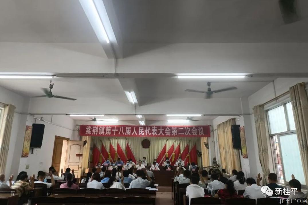 桂平市紫荊鎮(zhèn)：票決項(xiàng)目落地開(kāi)花 各族人民樂(lè)哈哈
