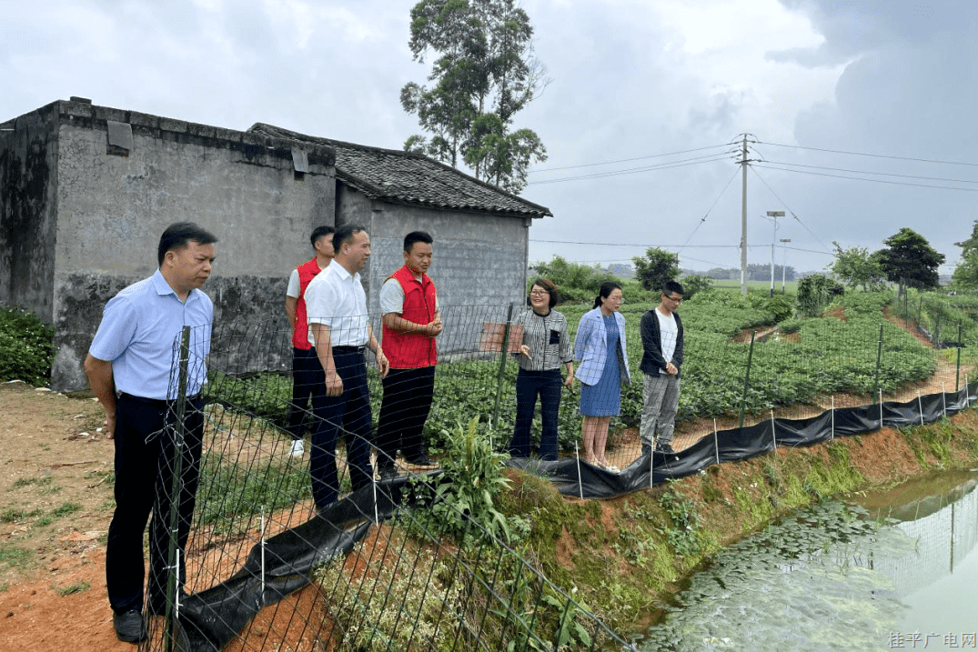 黃錦鋒帶隊到下灣鎮(zhèn)調(diào)研鄉(xiāng)村振興工作