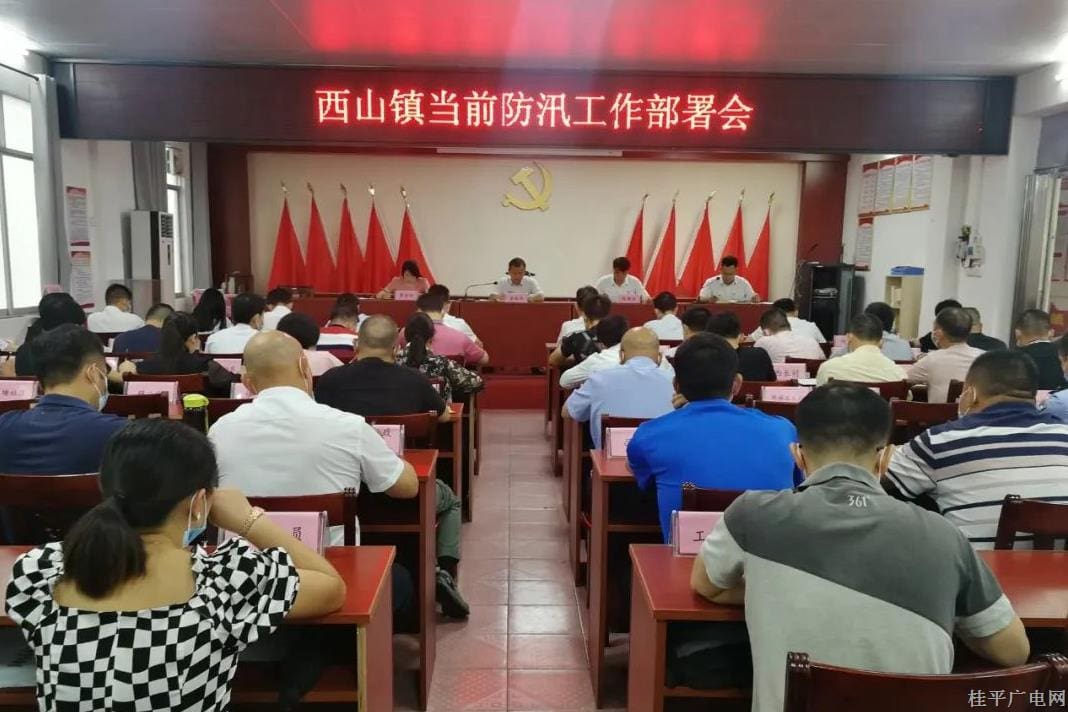 桂平市西山鎮(zhèn)：防汛中 人大代表們一線守護(hù)家園
