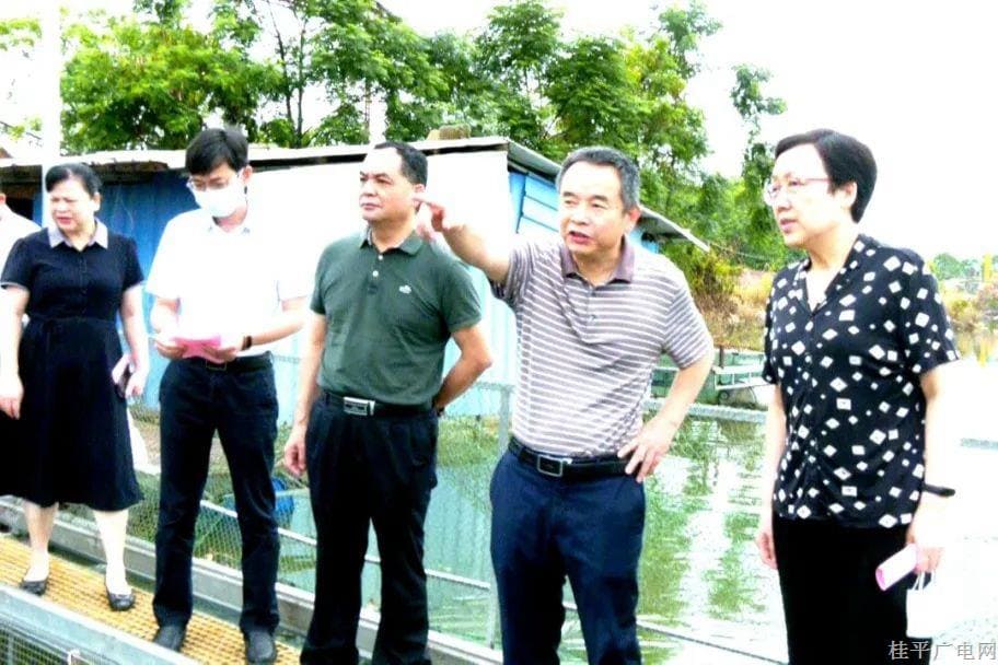 中國水產(chǎn)學(xué)會“科創(chuàng)中國”水產(chǎn)養(yǎng)殖科技服務(wù)團(tuán)到我市考察調(diào)研