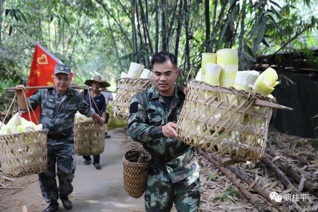 【新時(shí)代文明實(shí)踐】紫荊鎮(zhèn)“愛心獻(xiàn)功臣”志愿服務(wù)隊(duì)為退役老兵,、軍人家屬排憂解難