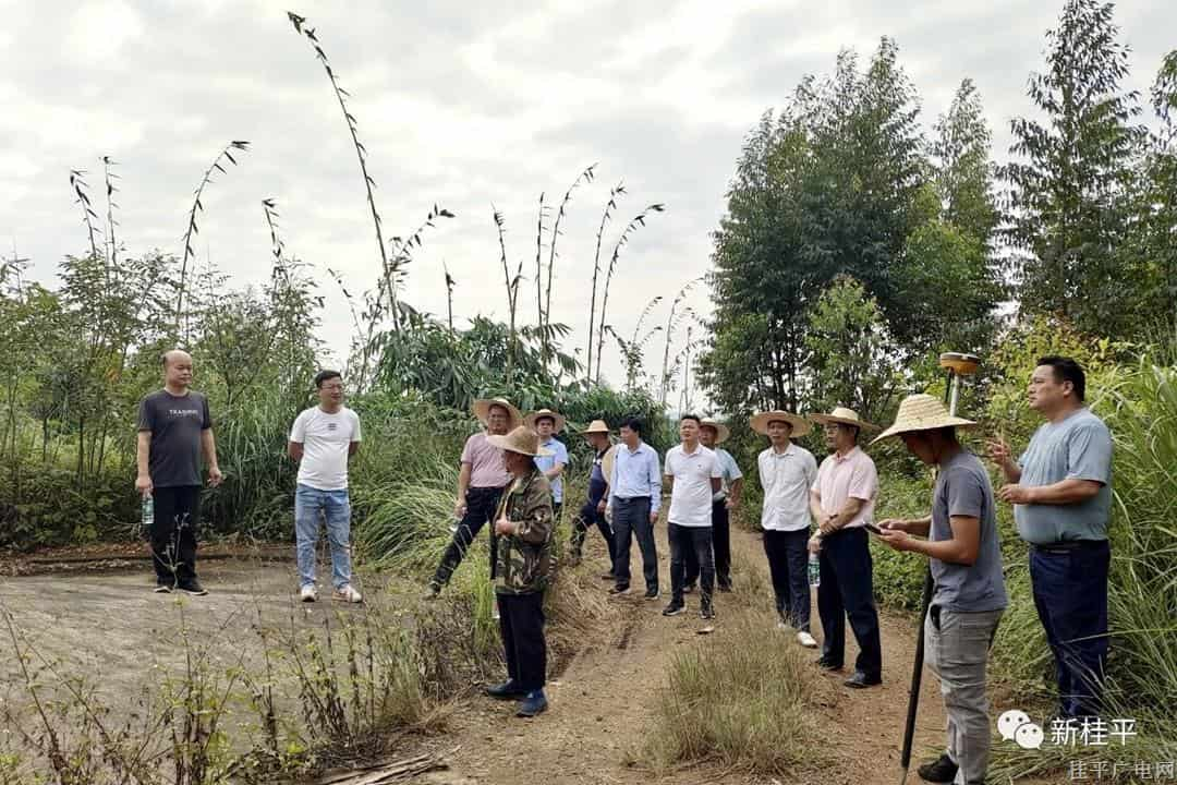 【爭創(chuàng)“模范機(jī)關(guān)”曬曬看（第三季）】市征收中心：黨建引領(lǐng)征地拆遷 為項目建設(shè)提供保障