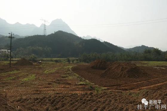 紫荊鎮(zhèn)土地綜合整治項(xiàng)目開工建設(shè) 660余畝旱地提質(zhì)改造為水田
