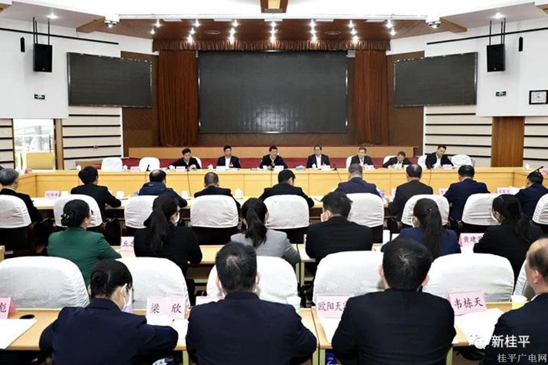 聚焦“兩會”丨朱會東參加桂平市代表團審議