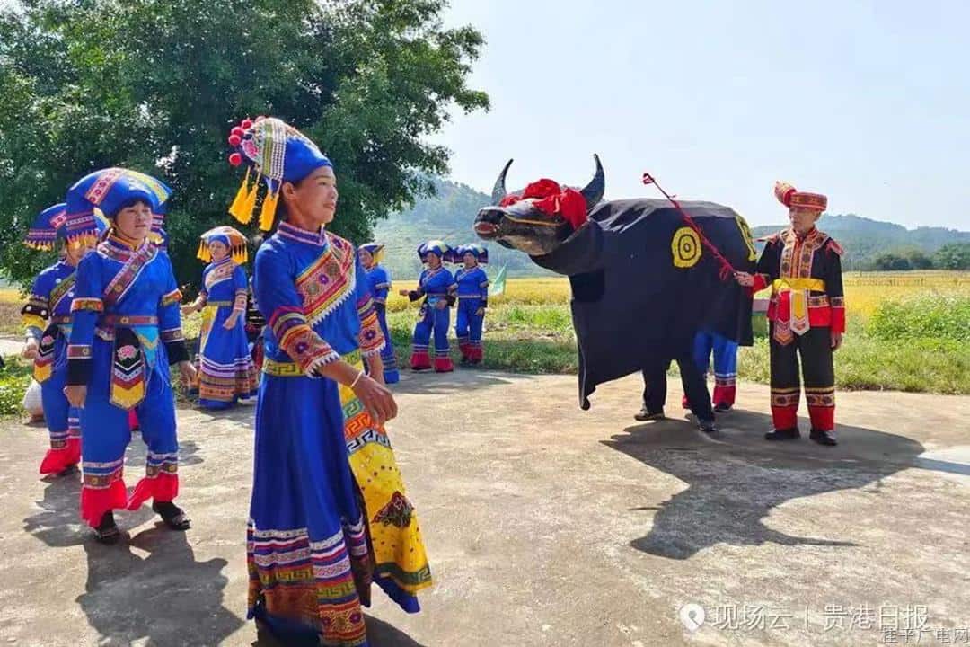 桂平三月三“鬧春?！泵袼孜幕糜喂?jié),！全網(wǎng)尋“牛”人,，放福利大招：集贊領(lǐng)免費(fèi)門票,！西山、龍?zhí)豆珗@,、西山泉等多個(gè)景點(diǎn)門票等你來(lái)拿,！