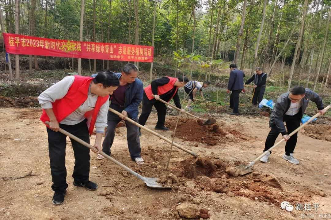 【作風(fēng)提升】桂平市委黨校著力提升干部作風(fēng)推動工作提質(zhì)增效