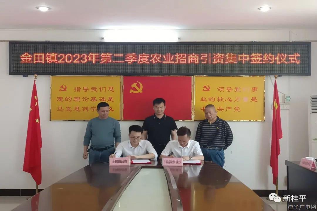 金田鎮(zhèn)成功簽約8個農(nóng)業(yè)招商引資項(xiàng)目 投資總額約2.03億元