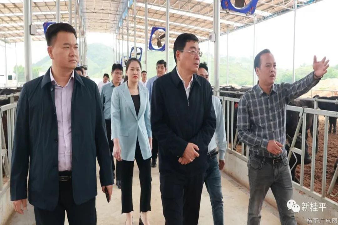 朱會東到桂平市調(diào)研設(shè)施農(nóng)業(yè)項(xiàng)目建設(shè)情況