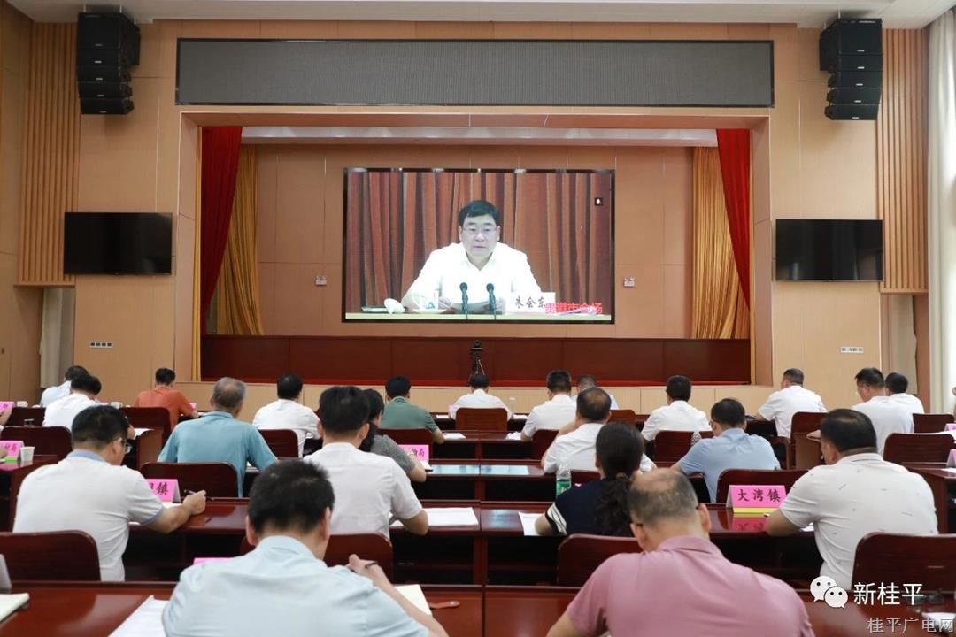 桂平市組織參加貴港市全市提速重大項目建設(shè)擴(kuò)大有效投資電視電話會議