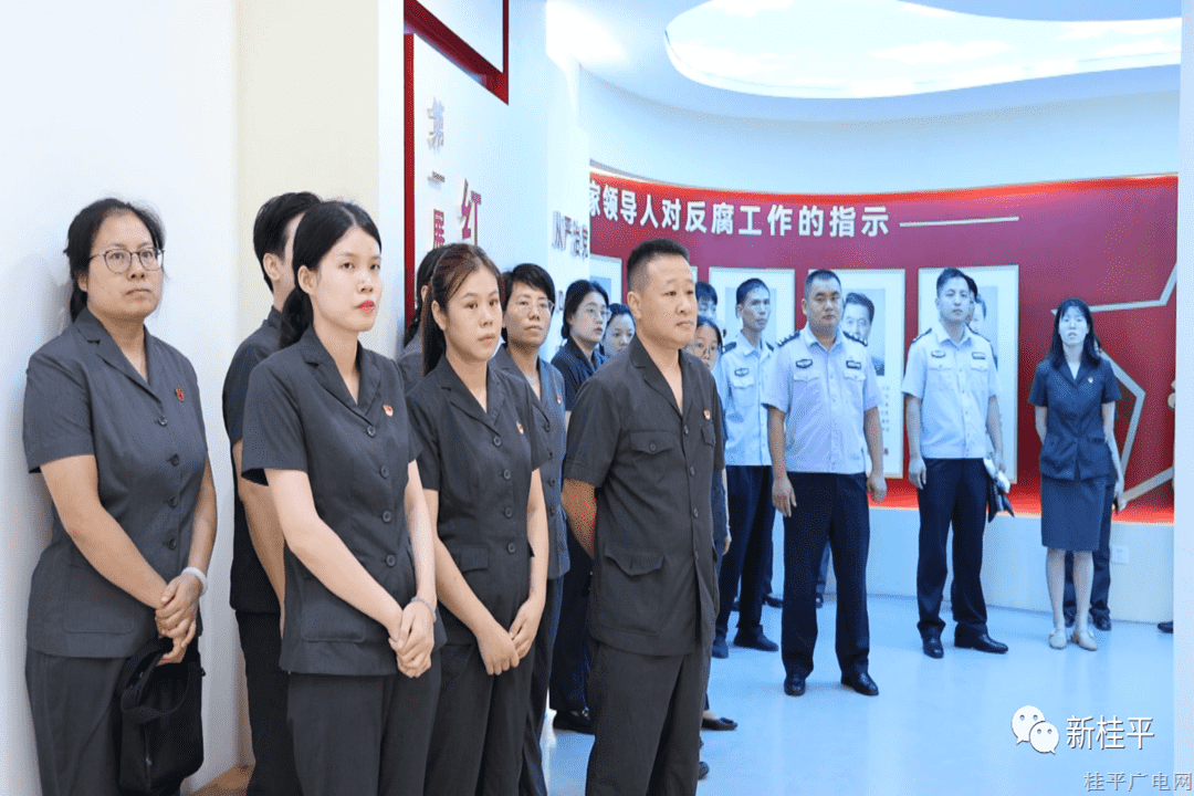 市人民法院開展“追崢嶸歲月 尋初心信仰”主題黨日活動