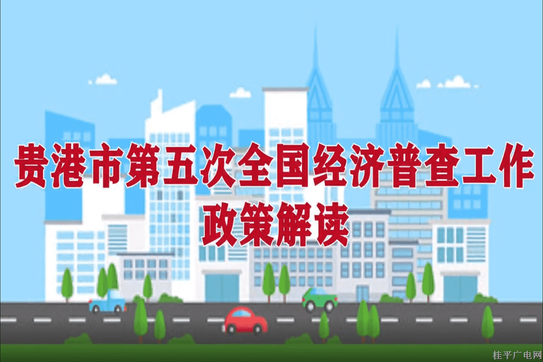 【五經(jīng)普】貴港市第五次全國經(jīng)濟普查工作政策解讀