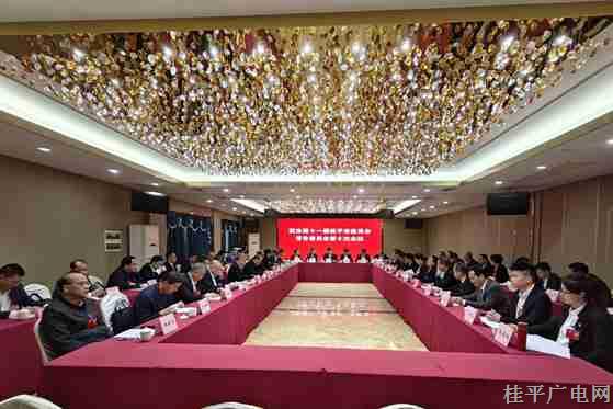 【聚焦兩會(huì)】桂平市政協(xié)召開(kāi)第十一屆常務(wù)委員會(huì)第十次會(huì)議