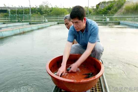 【勞動(dòng)者之歌】陳壽福：做漁業(yè)的推廣者 當(dāng)養(yǎng)殖戶的知心人