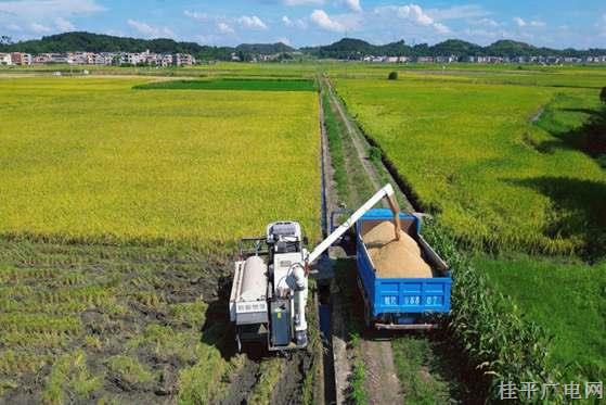 桂平：機械化助力早稻夏收