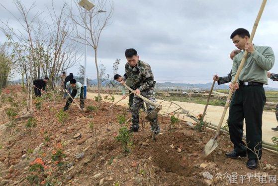 我市組織退役軍人開展“穿上軍裝保家衛(wèi)國 脫下軍裝建設(shè)家鄉(xiāng)”植樹活動