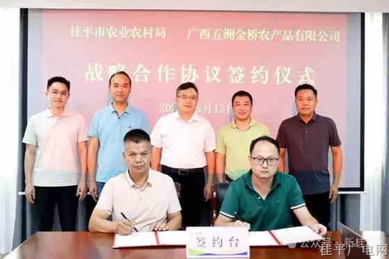 從枝頭到全國餐桌！桂平市多措并舉拓寬麻垌荔枝銷路