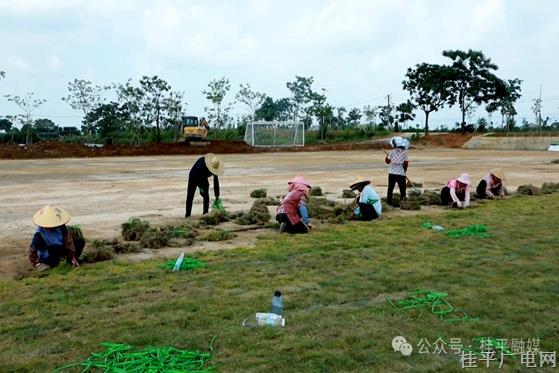 場地升級 踢球更穩(wěn)！石龍鎮(zhèn)新村村稻香足球場加速建設中